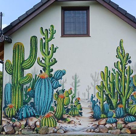Domki Kaktus Osieki  외부 사진